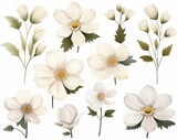 Fototapeta Zwierzęta - Discover the Pure Elegance: Stunning Collection of White Flowers Isolated on a White Background Generative AI