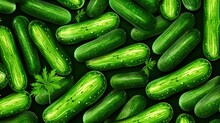 Background Of Bright Green Huge Zucchini
