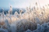 Fototapeta Dmuchawce - Mesmerizing Frost Kissed Meadow: An Exquisite Display of Nature's Artistry Generative AI