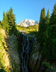 Wall Mural - Myrtle Falls.