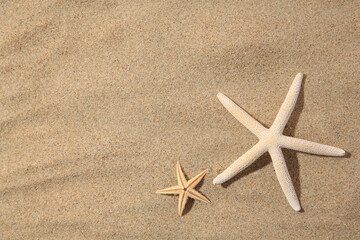 Wall Mural - Beautiful sea stars on sand, flat lay. Space for text