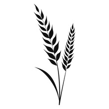 Wheat Ears Vector Isolated On A White Background, A Wheat Grain Silhouette 
