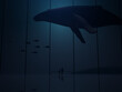 Mysterious and large whale silhouette that appeared at the aquarium