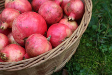 Red Ripe Pomegranate Fruits In A Wicker Basket On Green Grass Background