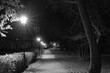 Stadtpark - Nacht - Park - Zossen - Brandenburg - Deutschland - Teltow Fläming - City - Night - Lantern - Germany -  Trees - Street Lights - Autumn -  Streetlamps
