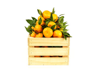 Wall Mural - Tangerines with green leaves in wooden box isolated on white background.