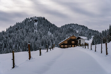 Canvas Print - Snowshoe tour to the Tennenmooskopf on the Nagelfluhkette in the Allgau Alps