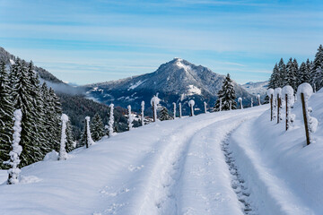 Poster - Snowshoe tour to the Tennenmooskopf on the Nagelfluhkette in the Allgau Alps