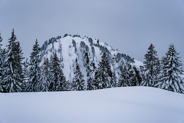 Wall Mural - Snowshoe tour to the Tennenmooskopf on the Nagelfluhkette in the Allgau Alps