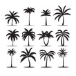 Palm Tree Silhouettes vector icon isolated on white background