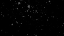 Snowflake Falling Endless Loop Slow Motion Animation With Transparent Background. Format Quick Time Alpha Rgb, Video Codec Animation.