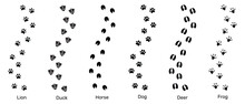 Lion, Deer, Duck, Horse, Dog And Frog Black Foot Print Animals. Illustration Background Design.