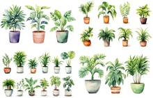 Watercolor Style Illustration Of Various Type Of Tropical Foliage Pot Plant Summer Collection Set Isolated On White Background, Generative Ai