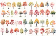 Watercolor Style Illustration Of Pink Flower And Cherry Blossom Tree Garden, Summer And Spring Collection Set Isolated On White Background, Generative Ai