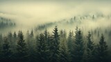Fototapeta Na ścianę - Misty landscape with fir foggforest in retro vintage пgloomy style