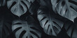 © Elizaveta - Deep rich background with monstera leaves. Juicy green leaves on dark background.Template,background,wallpaper with monstera leaves