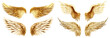 Set of golden wings cut out