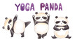Watercolor hand drawn cute funny panda bears doing yoga.Written violet words 
