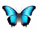 Fototapeta Motyle - Stunning Close-Up: Azure-Winged Butterfly's Aerial Elegance Captured Generative AI