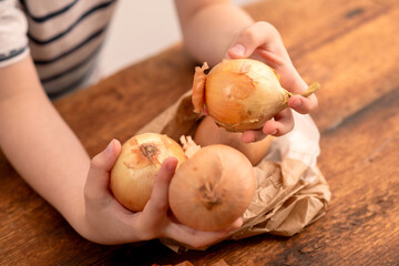Wall Mural - Wholesome harvest: a child's hands reveal the bounty of a complete yellow onion, illustrating the nutritional richness on a wooden surface