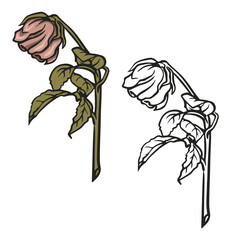 A Dead Rose. Lonely, Fall, wilted. drawing with line-art. Simple Design Outline Style. You can give color you like. Vector Illustrations