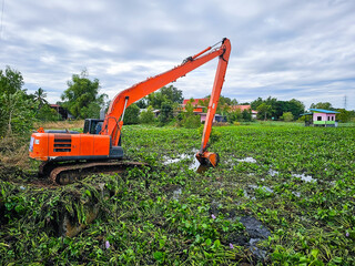 Eliminate water hyacinths that block water canals in Thailand.