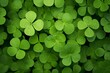 Background with shamrocks, close-up view from above. Background for St. Patrick's Day.