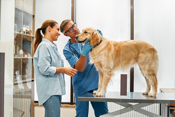 Wall Mural - Animals for examination and treatment in the veterinary clinic