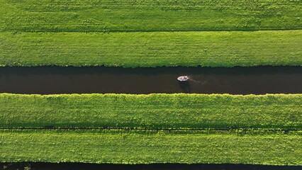 Wall Mural - aerial view of a canal boat in the netherlands. boat ride on the canals. canals with water for agric