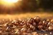 A pile of nuts sitting on the ground. This image can be used to illustrate concepts such as food, snacks, nature, and abundance.