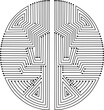 Vector illustration of the brain. Brain microcircuit.