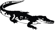 Cartoon Black And White Isolated Illustration Vector Of A Cayman Crocodile