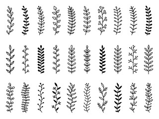 Wall Mural - laurel text dividers doodle set. wedding decorative elements with leaves. branches, divider ornament