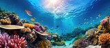 Fototapeta Fototapety do akwarium - Explore the captivating marine haven of the Great Barrier Reef, where underwater photographers and ocean lovers delight in vibrant sea life.
