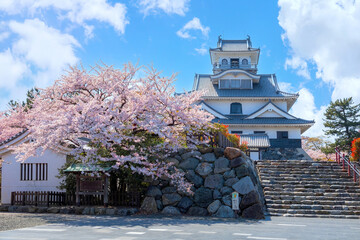 Poster - Nagahama Castle in Shiga Prefecture, Japan during full bloom cherry blossom season