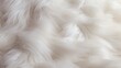 A visually appealing close-up image that portrays the exquisite texture of white fluffy fur, reminiscent of the softness of cotton wool, creating a luxurious and comforting background.