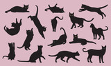 Fototapeta Pokój dzieciecy - Black cats in various poses isolated on background. Cats sitting, standing, resting, playing. Cat symbol shape.