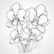 coloring page orchid 