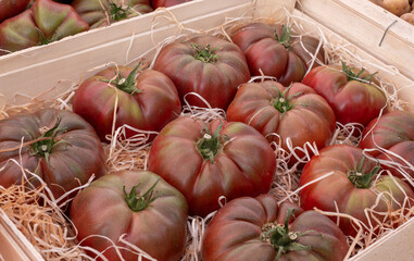 Canvas Print - crate of beef tomatoes on the market