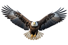 American Bald Eagle, Bald Eagle Flying Isolated On Transparent Background. PNG Cut Out. Full Body Of Eagle, Wings Are Spread