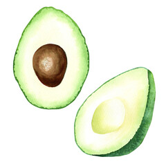 Avocado fruit sliced. Hand drawn watercolor illustration isolated on white background. For clip art menu label package