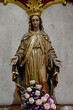 Close up of Statue of Our lady of grace virgin Mary in the church, Thailand. selective focus.