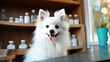 dog sits with pet supplements after visiting veterinary