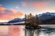 Morning atmosphere at Lake Sils, island with autumn larches, Engadin, Canton Grisons, Switzerland, Europe