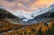 Autumn larch forest in front of Morteratsch glacier, Bernina Group with Piz Bernina, Piz Palue, Pontresina, Engadine, Canton Graubuenden, Switzerland, Europe