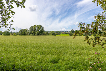 dutch plain landscape with green grass, leafy trees, hills against cloud-covered sky in background, 