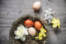 Easter Eggs And Daffodil Heads Indecorativenest