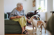 © Westend61 - Smiling senior woman holding plate of food and stroking dog at home
