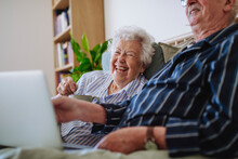 Cheerful Senior Couple Sitting With Laptop At Home