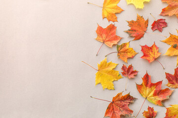 Sticker - Autumn season. Colorful maple leaves on light grey background, flat lay with space for text